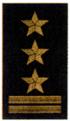 starszy brygadier