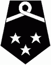 Wiceprezes/Naczelnik