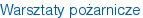 Warsztaty pożarnicze