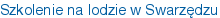 Szkolenie na lodzie w Swarzędzu